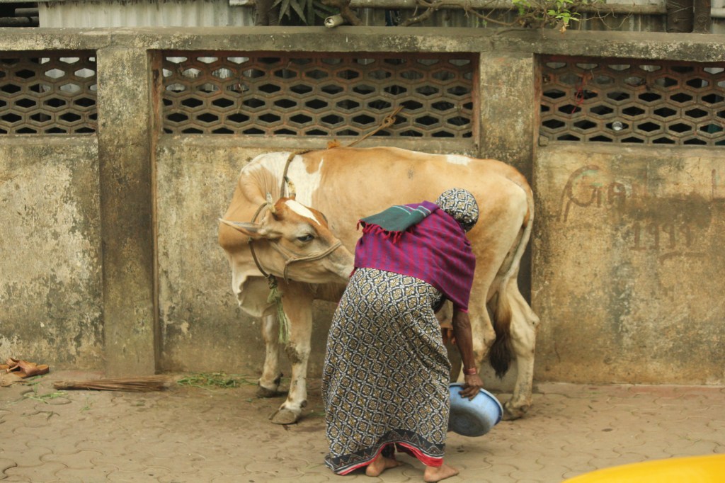 Imprints from India: New&nbsp;Series