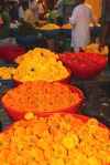 Flowers from the Mumbai Wholesale Market, (photo by Laird)